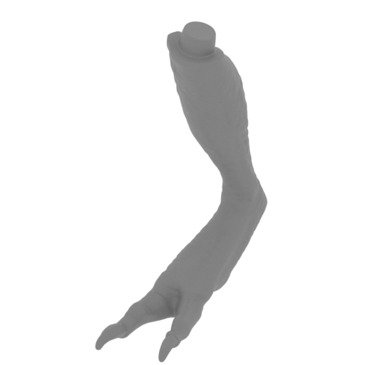 45_foot_R_FDM(repaired).stl