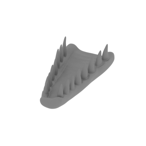 5_jaw_lower_FDM(repaired).stl