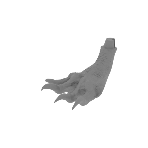 15_foot_R_FDM(repaired).stl