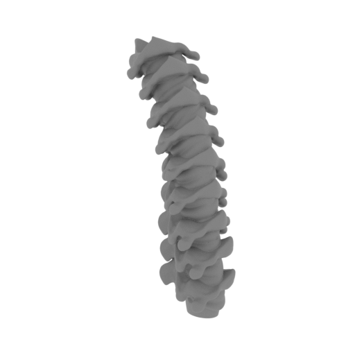 21_alien_queen_tail_4_FDM(repaired).stl