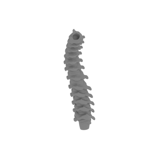 22_alien_queen_tail_5_FDM(repaired).stl