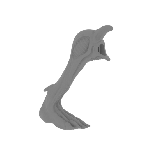 32_alien_queen_leg_R_3_FDM(repaired).stl