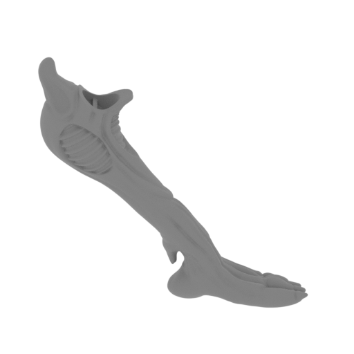35_alien_queen_leg_L_3_FDM(repaired).stl