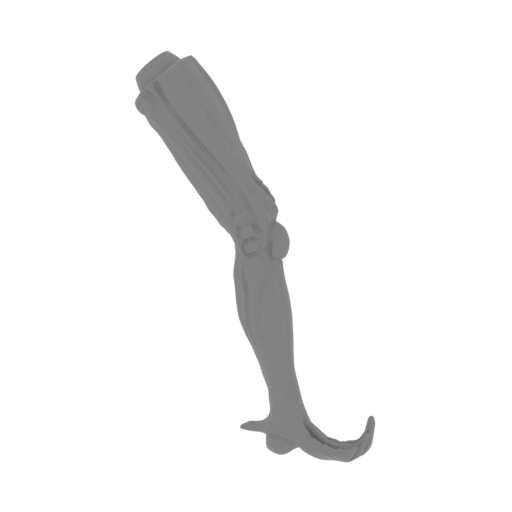 52_alien_1_leg_R_FDM(repaired).stl