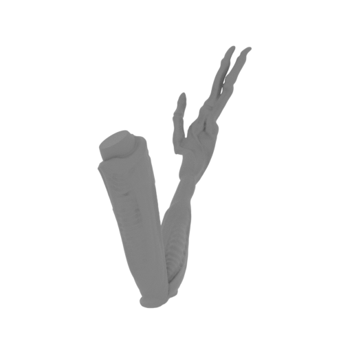 62_alien_2_arm_R_FDM(repaired).stl