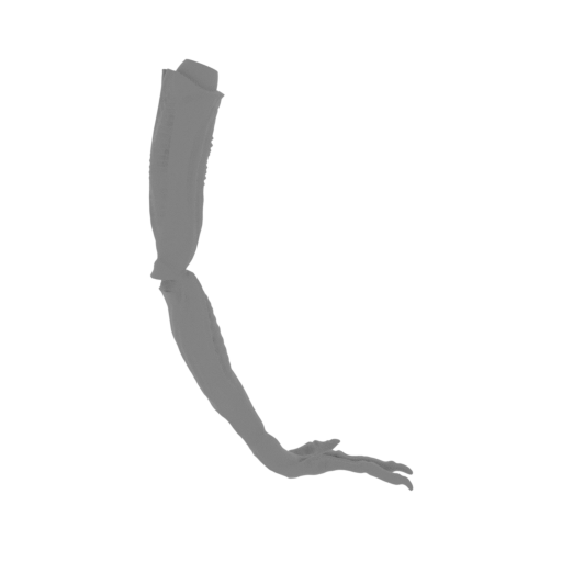 73_alien_3_arm_R_FDM(repaired).stl