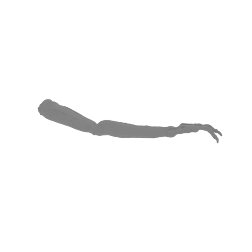 113_alien_7_arm_R_FDM(repaired).stl