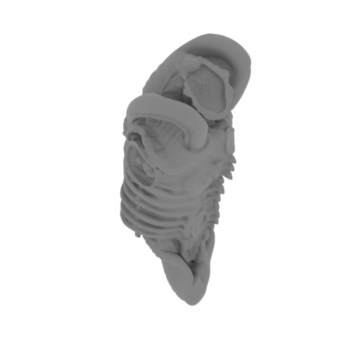 130_alien_9_body_FDM(repaired).stl