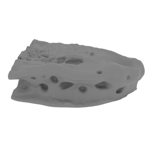 136_platform_1_FDM(repaired).stl