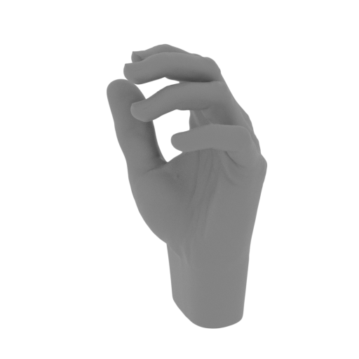 5_hand_L_FDM(repaired).stl