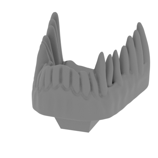 5_low_jaw_FDM(repaired).stl