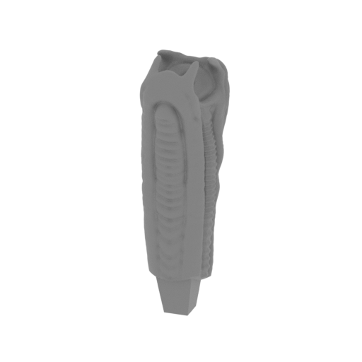 6_tongue_FDM(repaired).stl