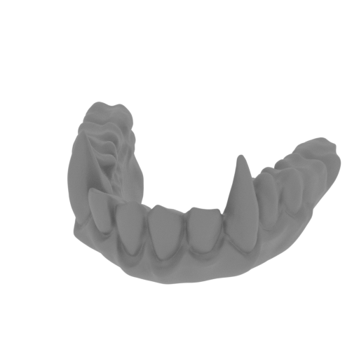 2_jaw_top_FDM(repaired).stl