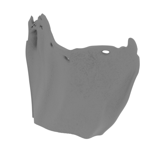 21_cloak_2_FDM(repaired).stl