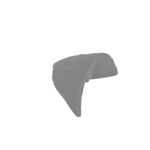 3_shoulder_strap_R_FDM(repaired).stl