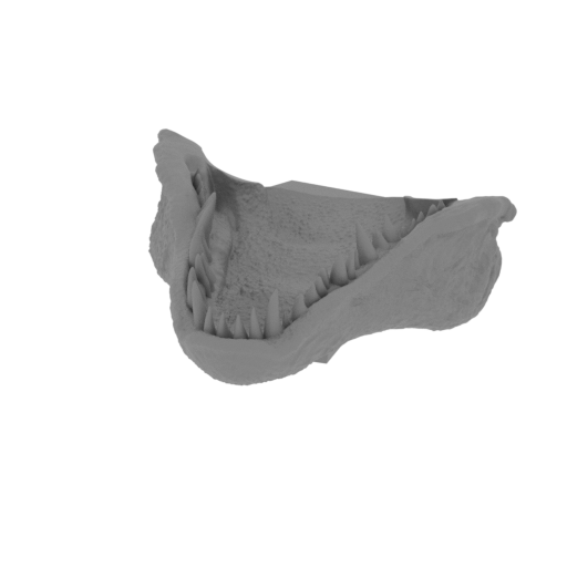 2_jaw_low_FDM(repaired).stl