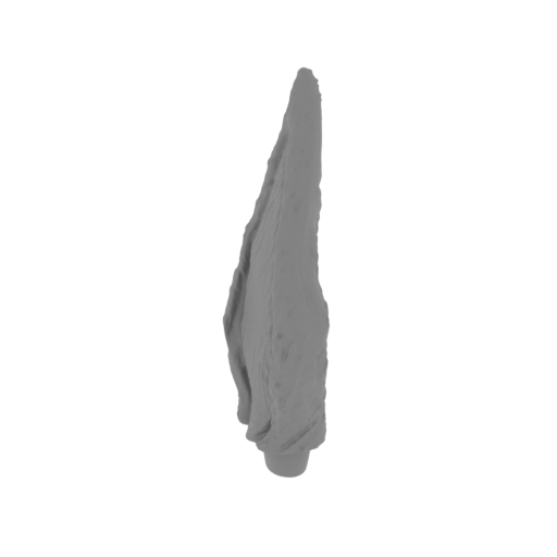 2_ear_R_Kurama_FDM(repaired).stl