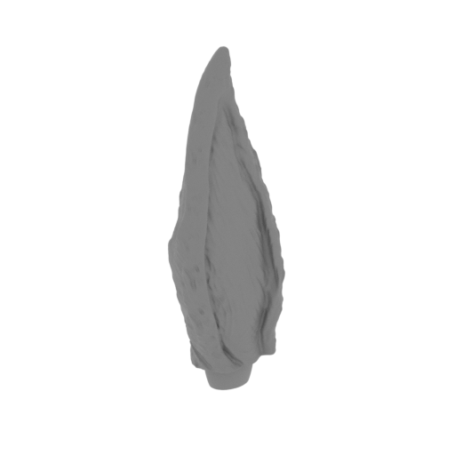 3_ear_L_Kurama_FDM(repaired).stl