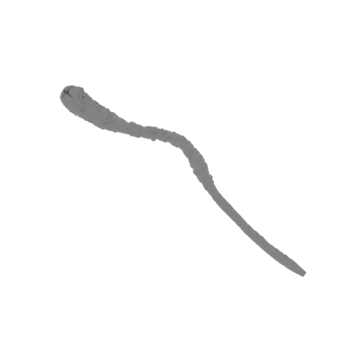 2_tongue_FDM(repaired).stl