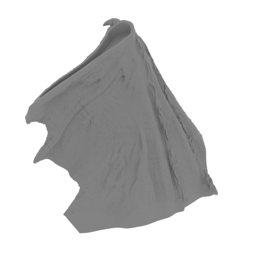 10_wing_L_1_FDM(repaired).stl