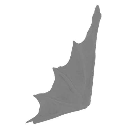 11_wing_L_2_FDM(repaired).stl