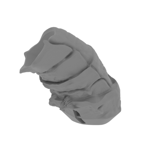 6_tail_3_FDM(repaired).stl