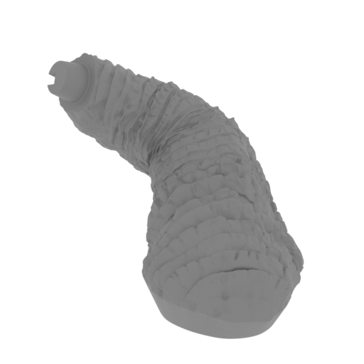 10_arm_R_FDM(repaired).stl