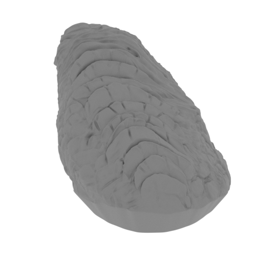 14_leg_R_FDM(repaired).stl