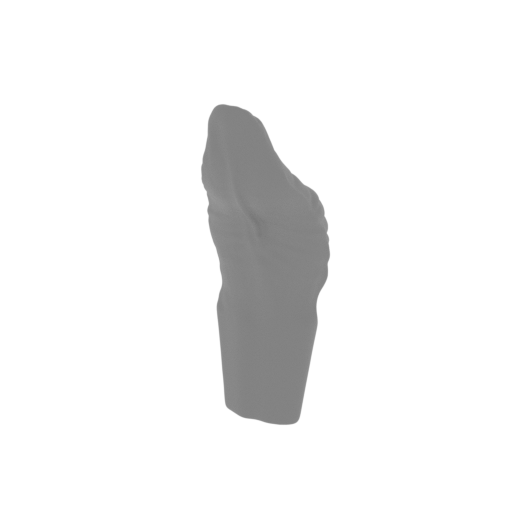 49_tongue_v2_FDM(repaired).stl