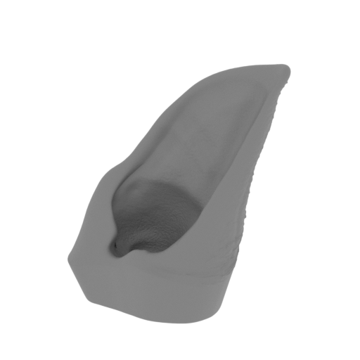 2_ear_R_FDM(repaired).stl