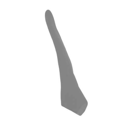 25_ear_R_FDM(repaired).stl