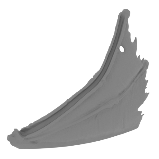 17_wing_R_1_FDM(repaired).stl