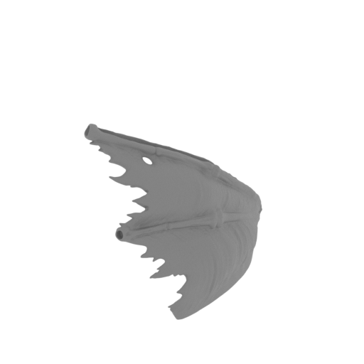 19_wing_L_1_FDM(repaired).stl