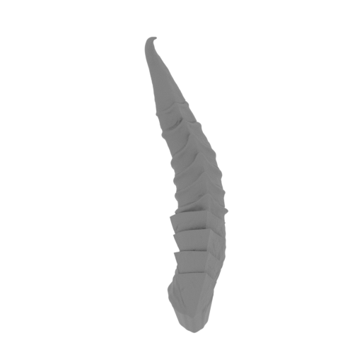 26_horn_3_FDM(repaired).stl