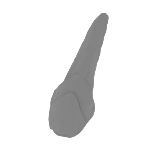 35_claw_from_wing_R_1_FDM(repaired).stl