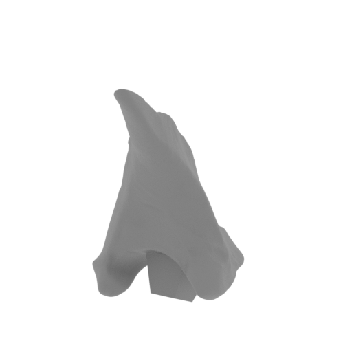 39_claw_from_wing_R_5_FDM(repaired).stl
