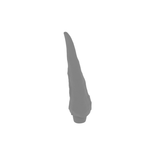 44_claw_from_wing_R_10_FDM(repaired).stl