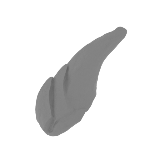 47_claw_from_wing_L_1_FDM(repaired).stl