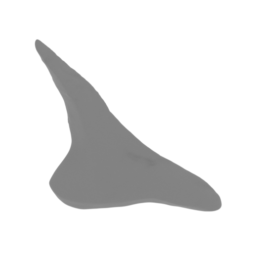 53_claw_from_wing_L_7_FDM(repaired).stl