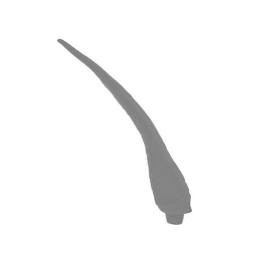 54_claw_from_wing_L_8_FDM(repaired).stl