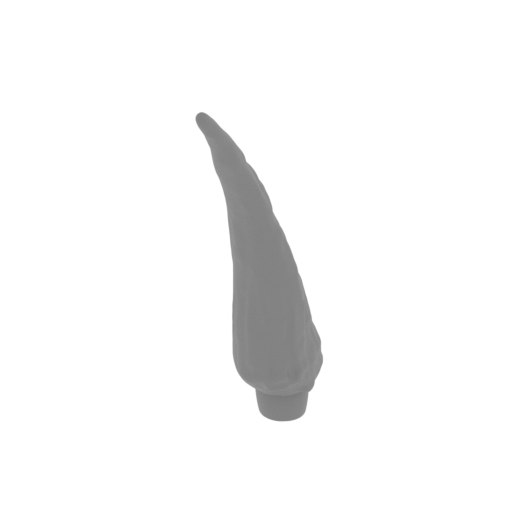 57_claw_from_wing_L_11_FDM(repaired).stl