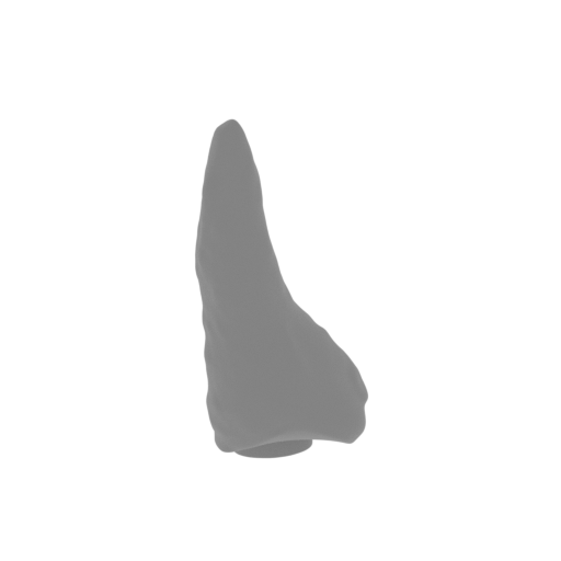 58_claw_from_wing_L_12_FDM(repaired).stl