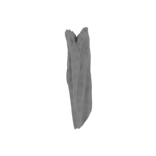 12_apparel_1_FDM(repaired).stl