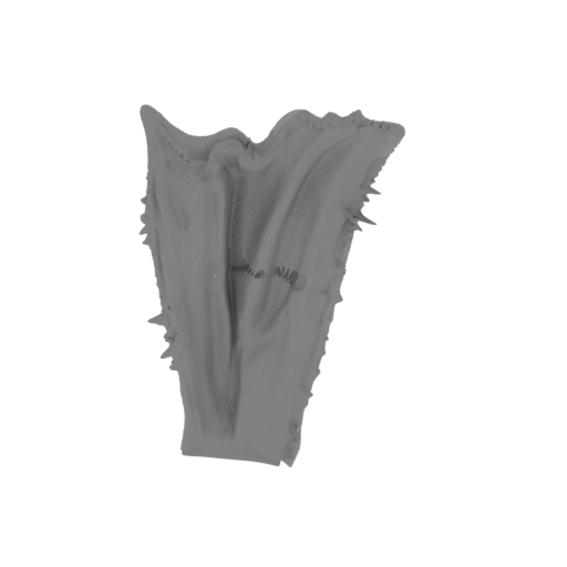 13_apparel_2_FDM(repaired).stl