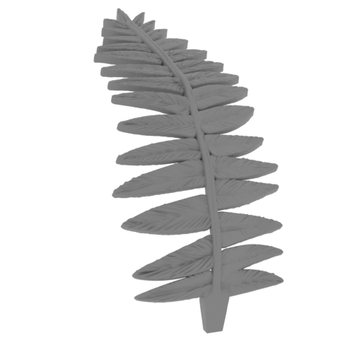 20_fern_1_FDM(repaired).stl