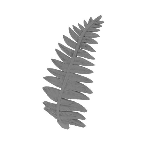 21_fern_2_FDM(repaired).stl
