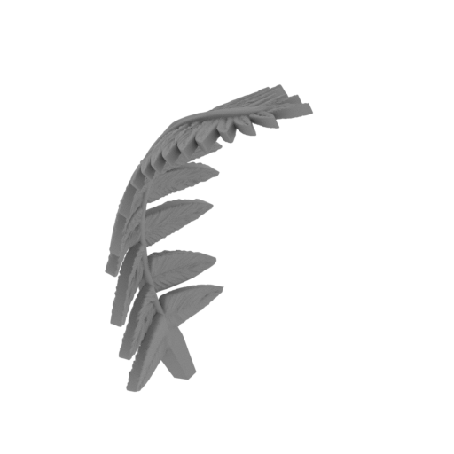 22_fern_3_FDM(repaired).stl