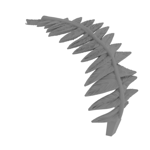 23_fern_4_FDM(repaired).stl