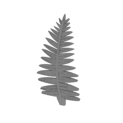 24_fern_5_FDM(repaired).stl