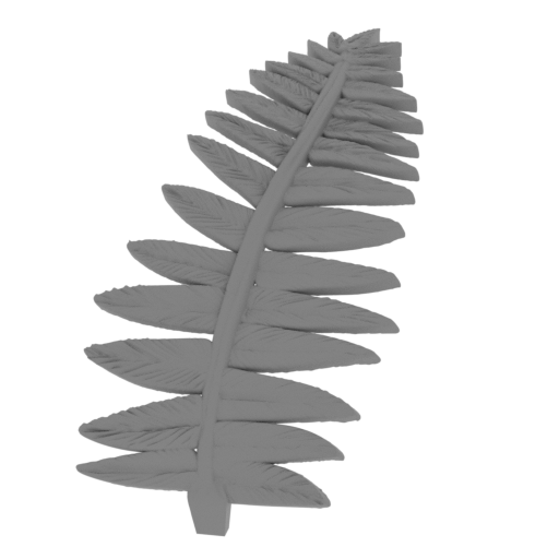 25_fern_6_FDM(repaired).stl